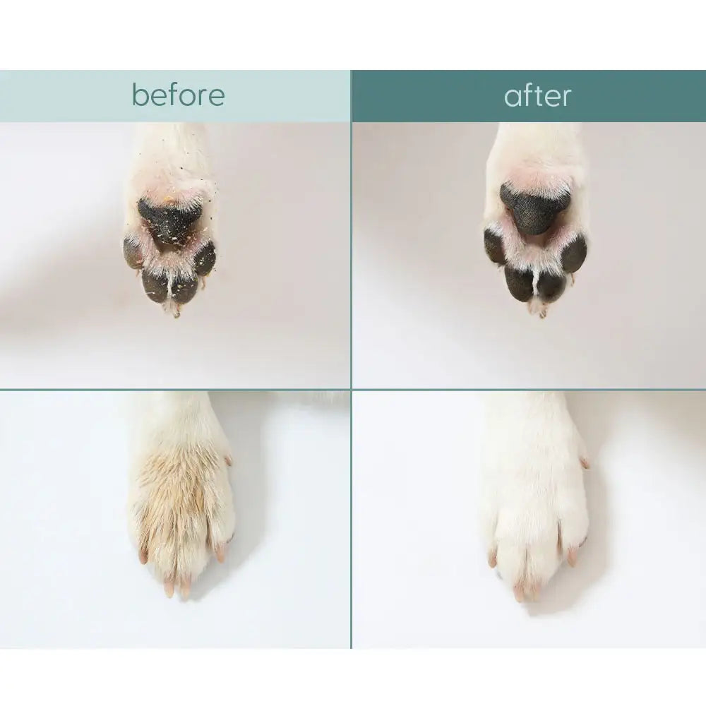 Duit - Pet Fresh Waterless Shampoo - Duit - Home & Living, Accessories - Harumio