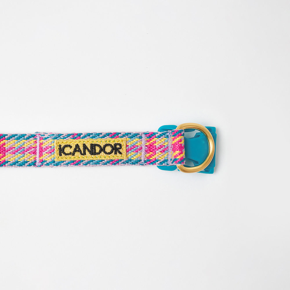 iCANDOR - Gentle Collar Dual Edinburgh Check