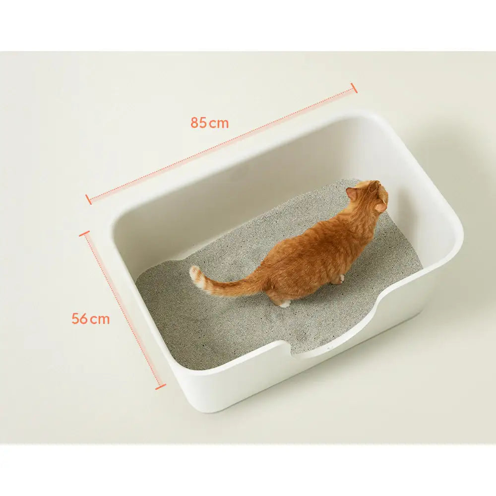 Duit - Poo Poo Long Box - Duit - Home & Living, Accessories - Harumio