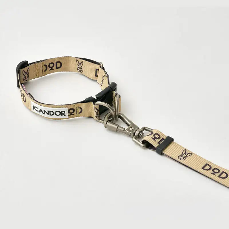 DOD X iCANDOR - Gentle Leash Bolt, Long_DOD - iCANDOR - Pet Leash - Harumio