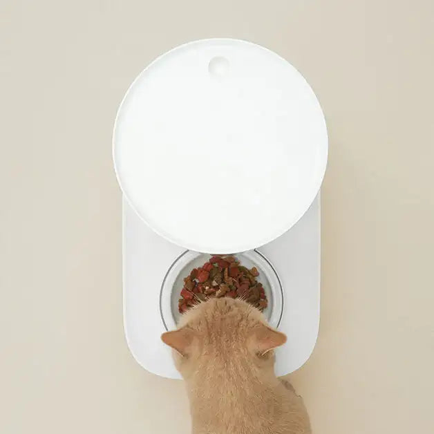 Duit - Pet The Table Plus - Duit - Home & Living, Accessories - Harumio