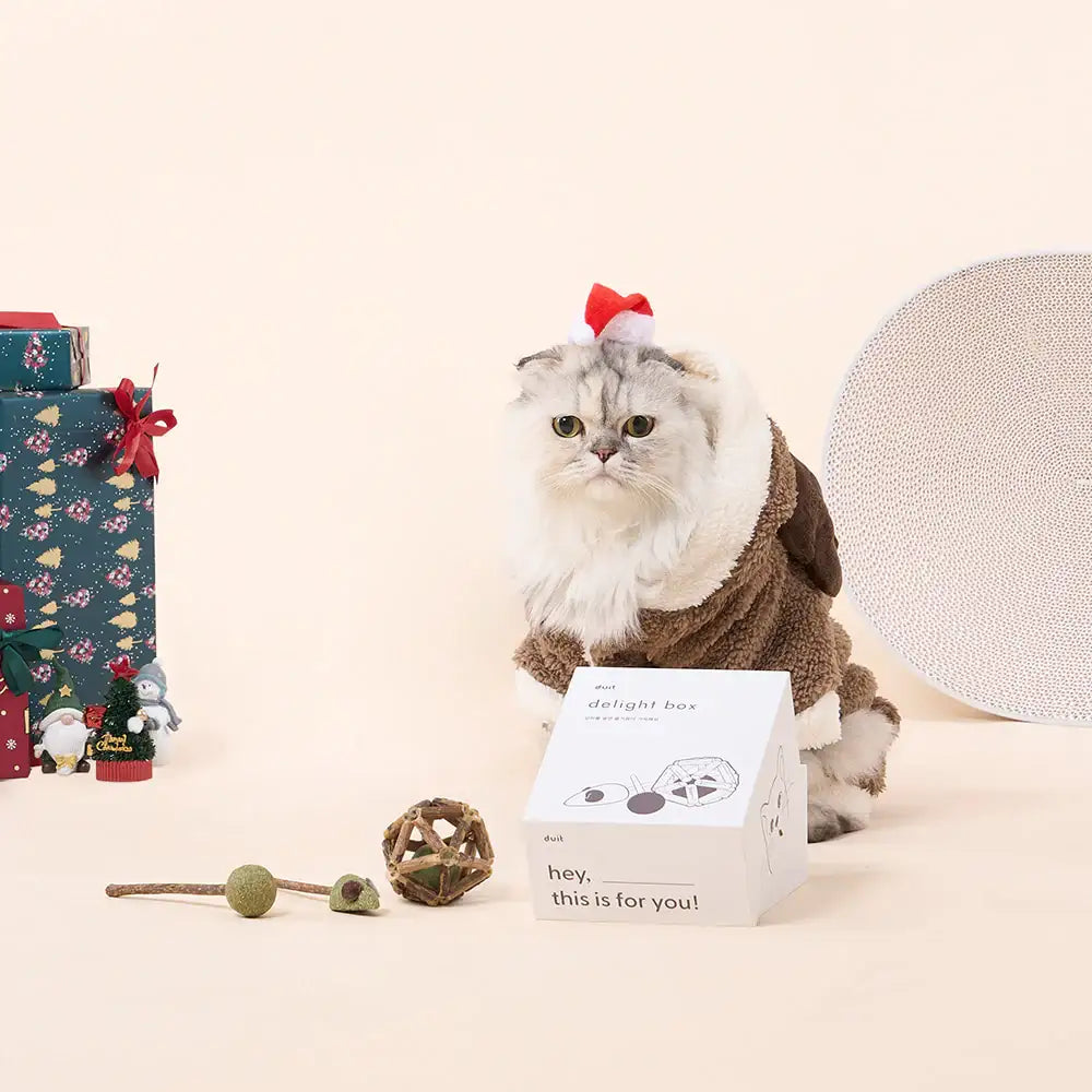 Duit - Pet Delight Box - Duit - Home & Living, Accessories - Harumio