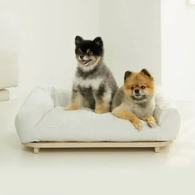 Duit - Noop Noop Cushion in Bed - Duit - Home & Living, Accessories - Harumio