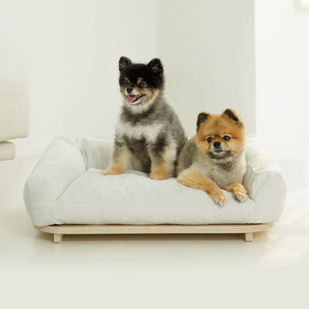 Duit - Noop Noop Cushion in Bed