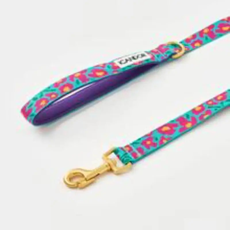 iCANDOR - Gentle Leash - iCANDOR - Pet Lead - Harumio