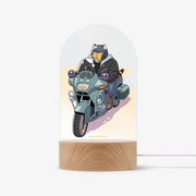 Mr. Tiger's Snacks - Hoseok Acrylic Mood Light B