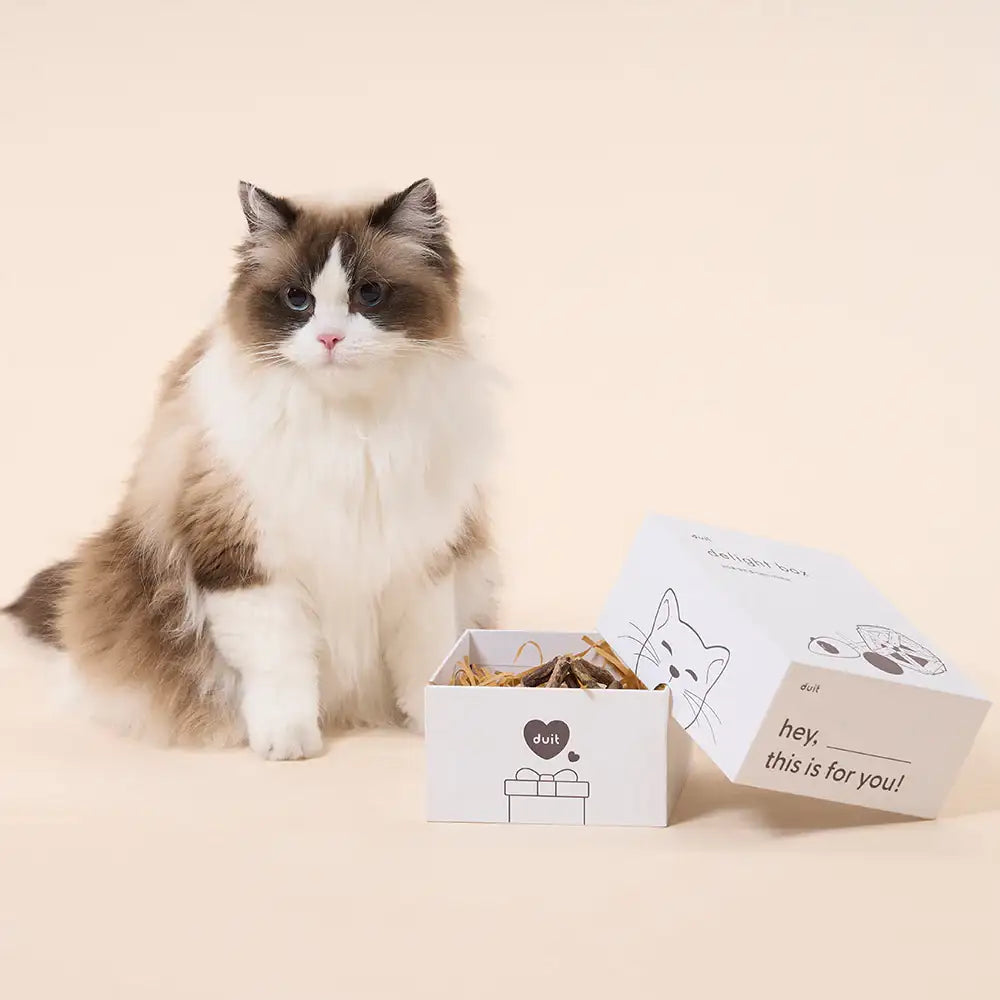 Duit - Pet Delight Box