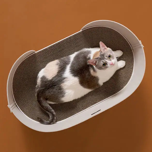 Duit - Pet All Day Basket - Duit - Pet Carriers - Harumio