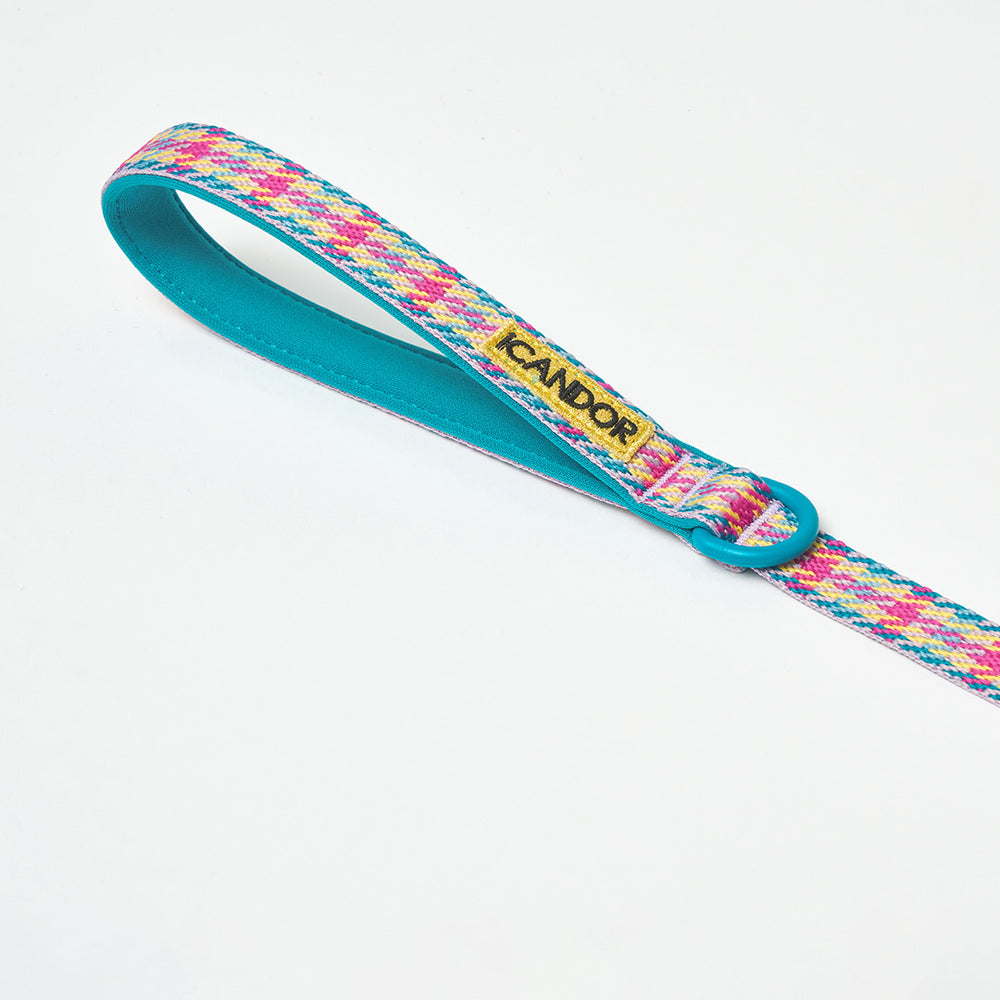 iCANDOR - Gentle Leash Edinburgh Check