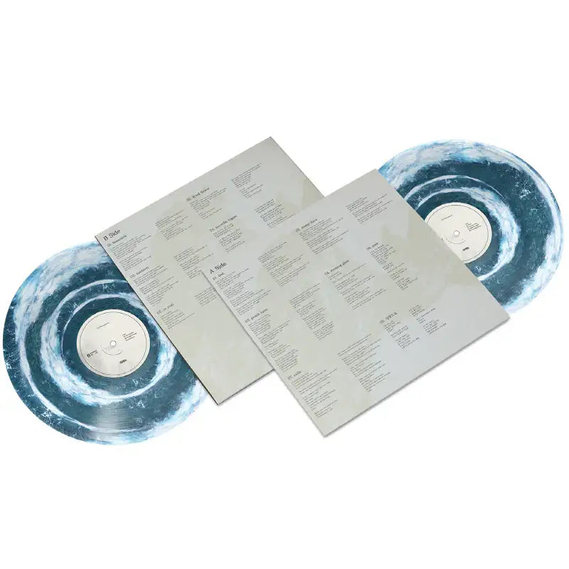 Wave To Earth - 0.1 Flaws And All. : Album Vol. 1 (2 LP) - Wave To Earth - Album - Harumio
