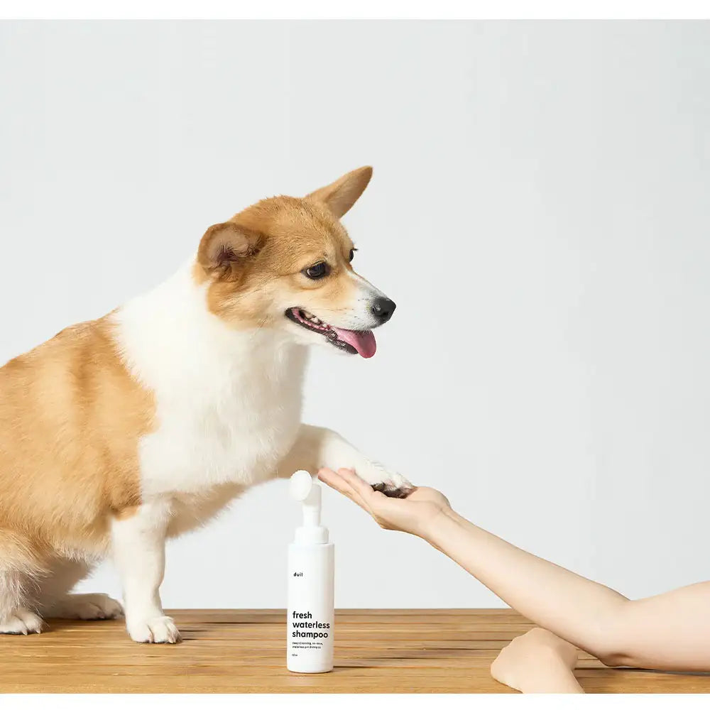 Duit - Pet Fresh Waterless Shampoo - Duit - Home & Living, Accessories - Harumio