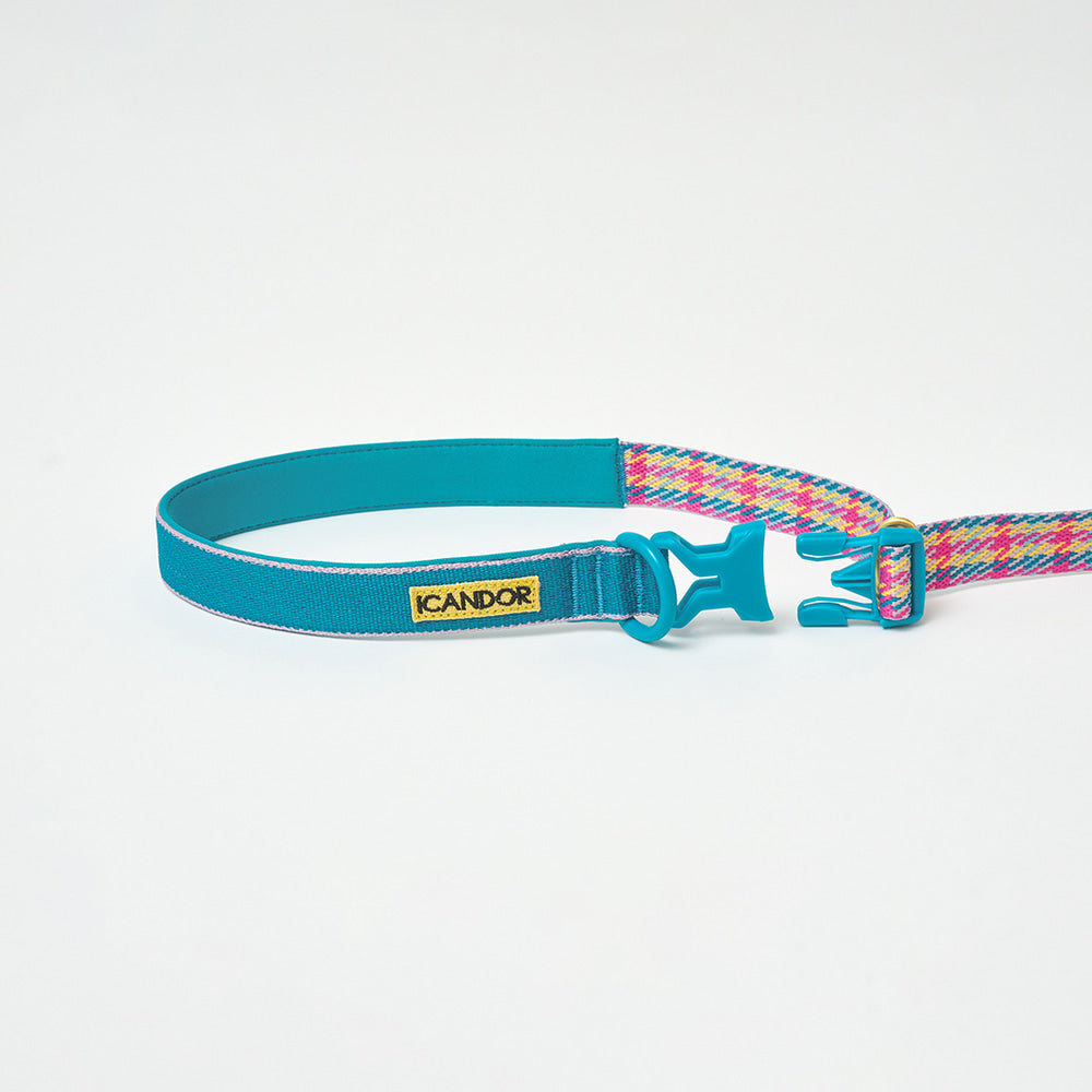 iCANDOR - Gentle Leash Bolt Edinburgh Check
