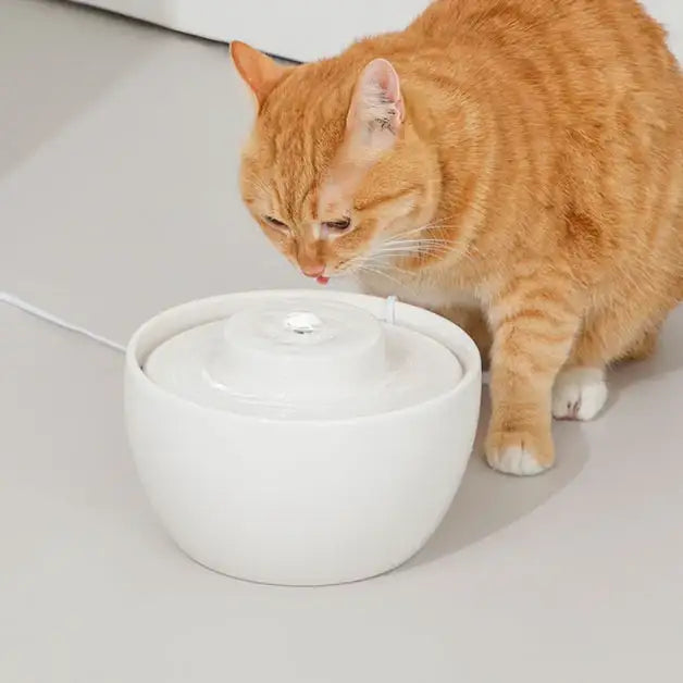 Duit - Pet The Table - Duit - Home & Living, Accessories - Harumio