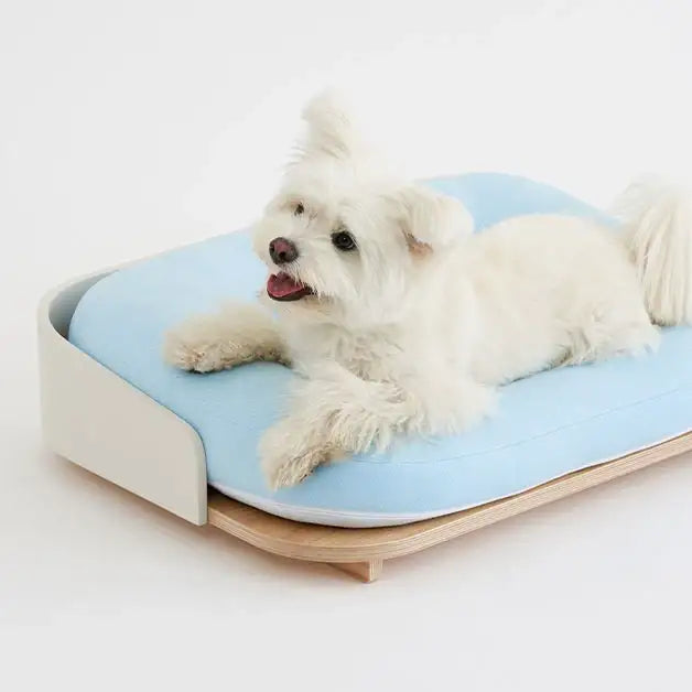 Duit - Pet Summer Cushion - Duit - Home & Living, Accessories - Harumio