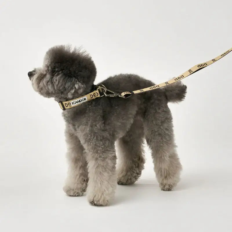 DOD X iCANDOR - Gentle Collar Dual_DOD - iCANDOR - Pet Collars - Harumio