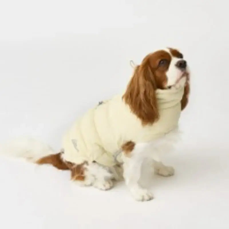 iCANDOR - F/W Edition - Adventure Parka, Thermo 3 - iCANDOR - Pet Clothes - Harumio