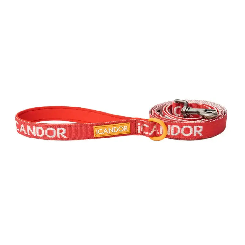iCANDOR - Gentle Leash - iCANDOR - Pet Lead - Harumio