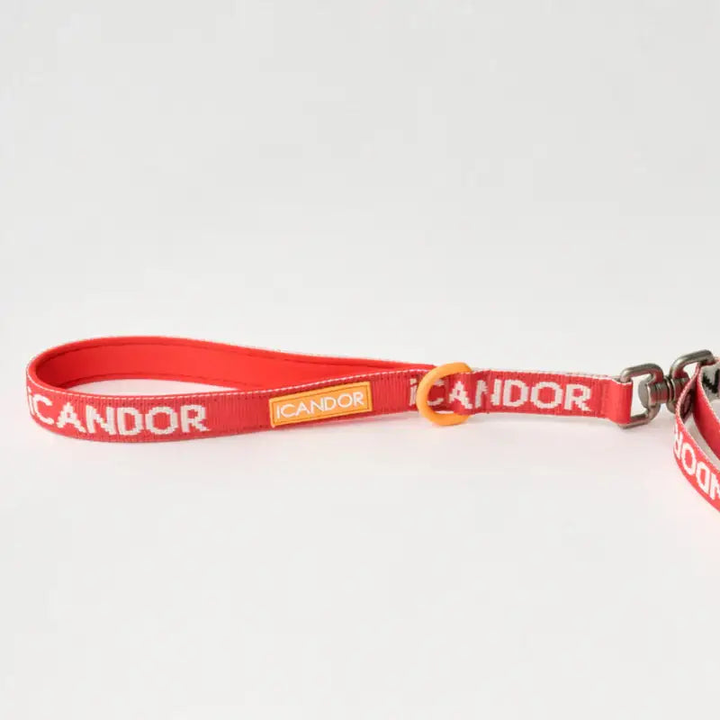 iCANDOR - Gentle Leash Dual _Signature - iCANDOR - Pet Lead - Harumio
