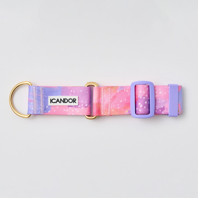 iCANDOR - Smooth Martingale Collar