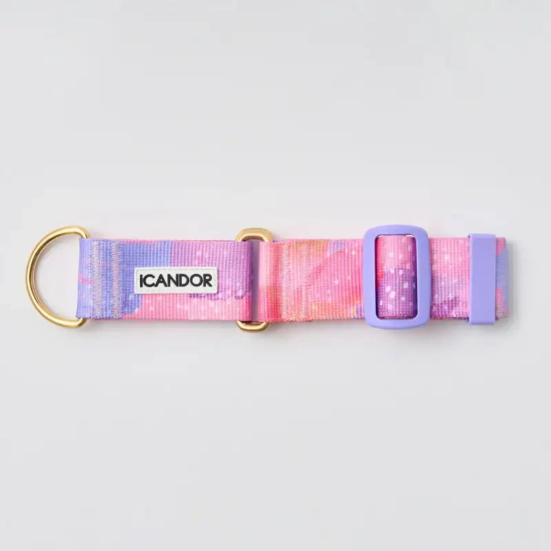 iCANDOR - Smooth Martingale Collar - iCANDOR - Pet Collars - Harumio
