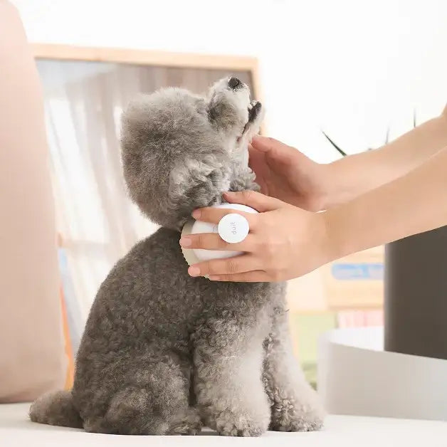 Duit - Pet Soft Brush - Duit - Home & Living, Accessories - Harumio