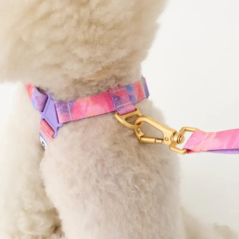 iCANDOR - Gentle Leash Bolt - iCANDOR - Pet Lead - Harumio