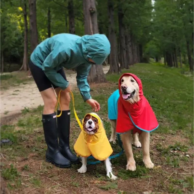 iCANDOR - Adventure Raincoat_Earth - iCANDOR - Pet raincoat - Harumio