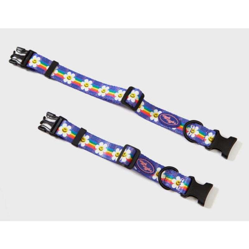 Wiggle Wiggle - Pet Collar & Leash Set