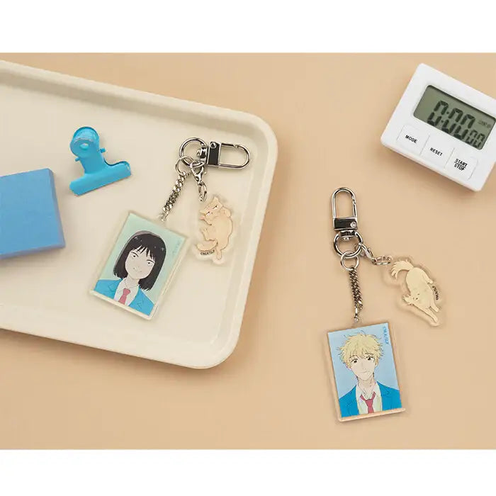 Skip and Loafer - Acrylic Charm Keyring - Aladin - Keyring - Harumio