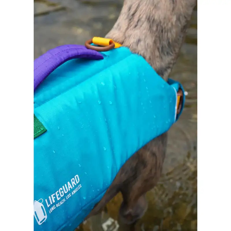 iCANDOR - Pawsaver Life Jacket - iCANDOR - Pet life Jackets - Harumio