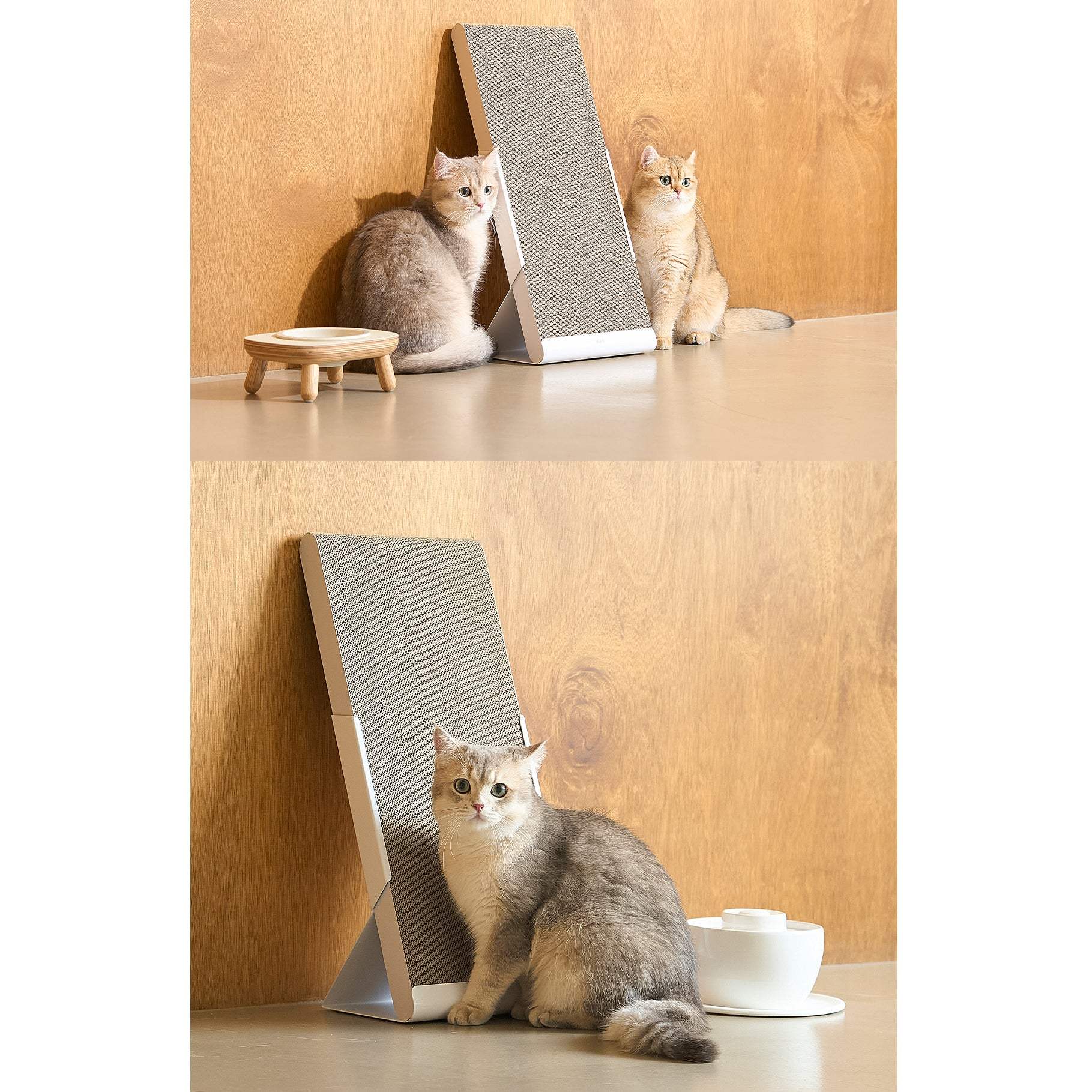 Duit - Pet Standing Board - Duit - Home & Living, Accessories - Harumio