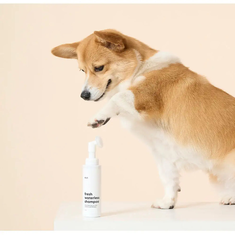 Duit - Pet Fresh Waterless Shampoo - Duit - Home & Living, Accessories - Harumio