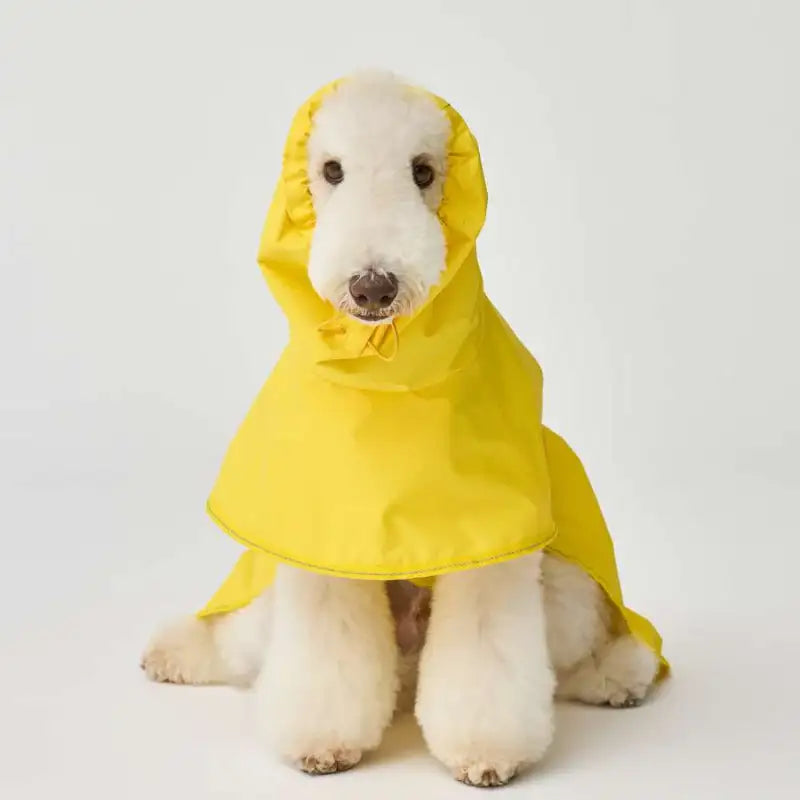 iCANDOR - Adventure Raincoat, Earth - iCANDOR - Pet Clothes - Harumio