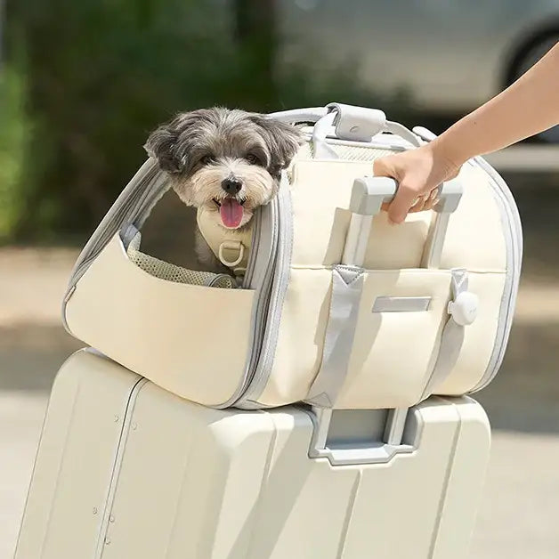 Duit - Pet Fly Bag - Duit - Home & Living, Accessories - Harumio