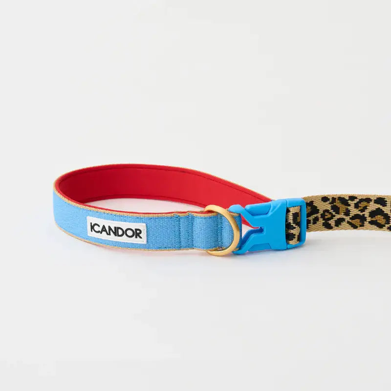 iCANDOR - Gentle Leash Bolt - iCANDOR - Pet Lead - Harumio