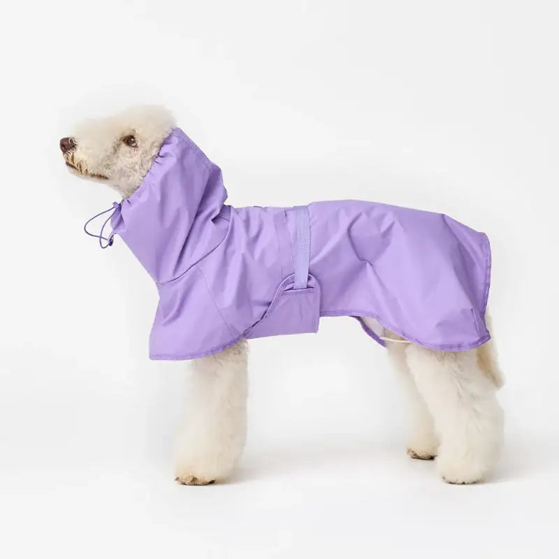 iCANDOR - Adventure Raincoat, Earth - iCANDOR - Pet Clothes - Harumio