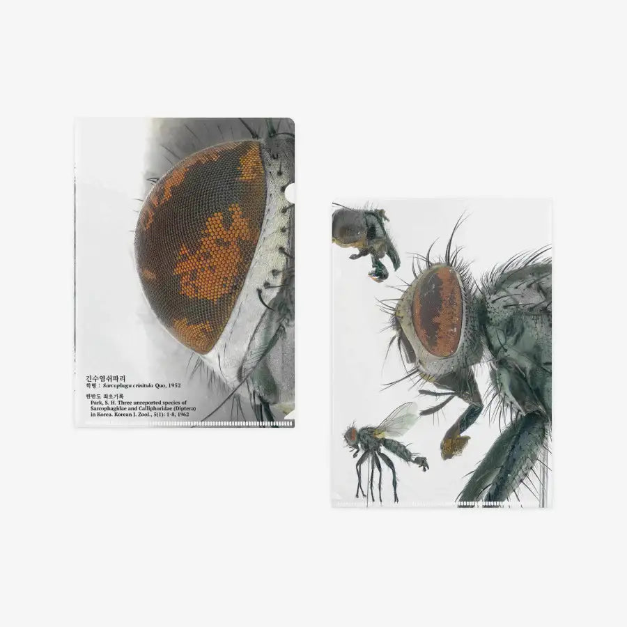 Muscid FACTORY - Long-Bearded Fly L-Holder - Marpple Shop - L Holder - Harumio