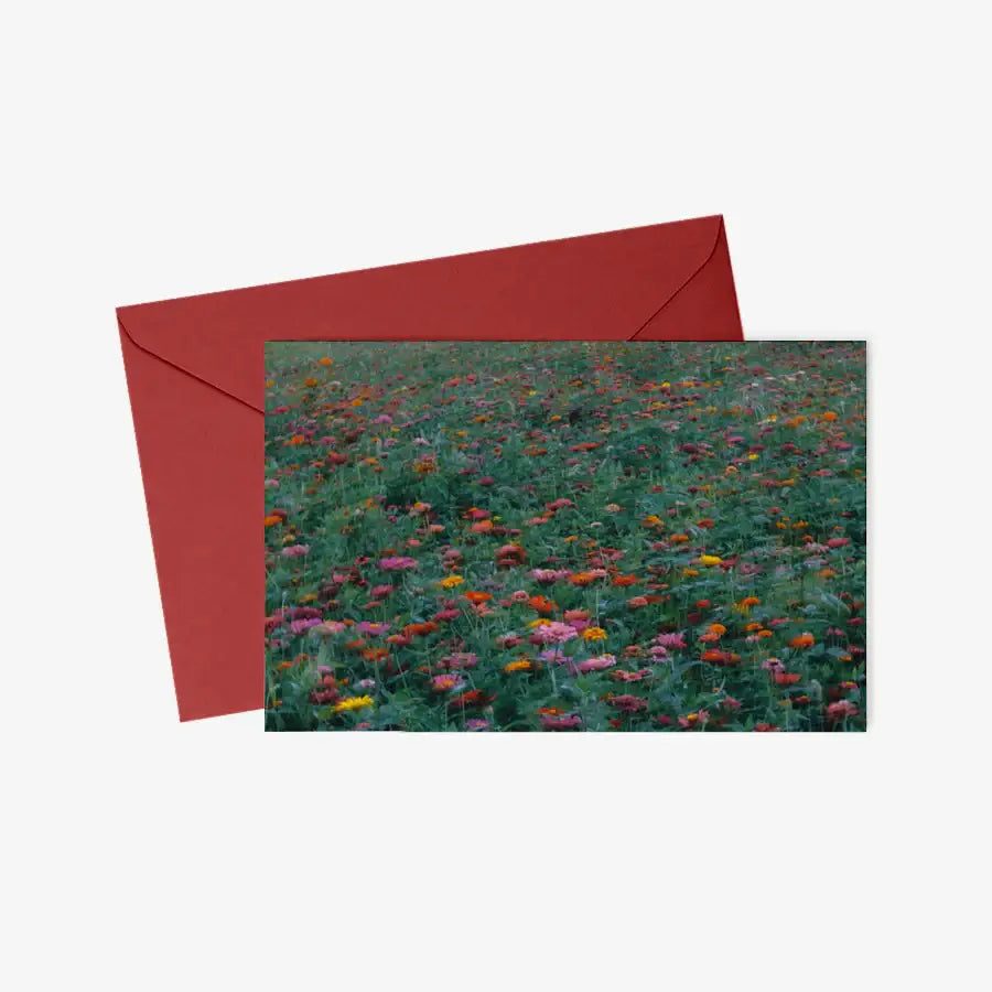 Kim Ji Neok - Field of Flowers Postcard & Envelope Set - Marpple Shop - Postcard - Harumio