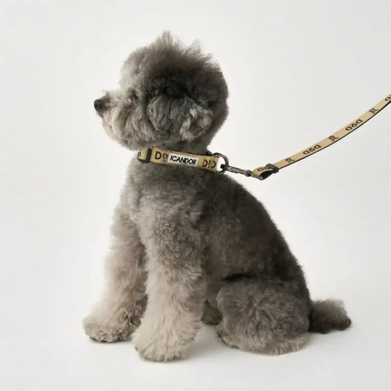 DOD X iCANDOR - Gentle Collar Dual_DOD - iCANDOR - Pet Collars - Harumio