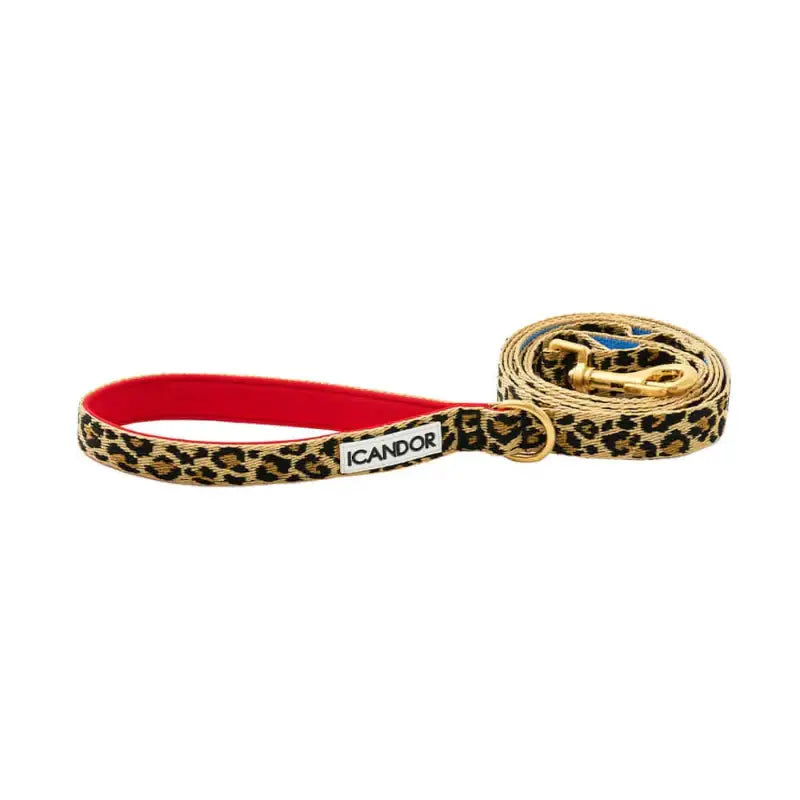 iCANDOR - Gentle Leash - iCANDOR - Pet Lead - Harumio