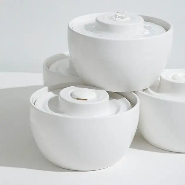 Duit - Pet Wave Pot - Duit - Home & Living, Accessories - Harumio