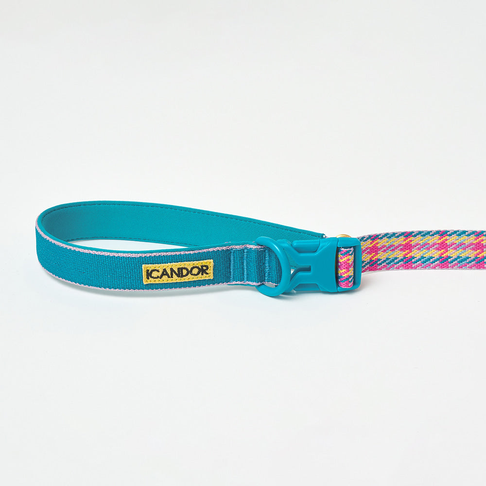 iCANDOR - Gentle Leash Bolt Edinburgh Check