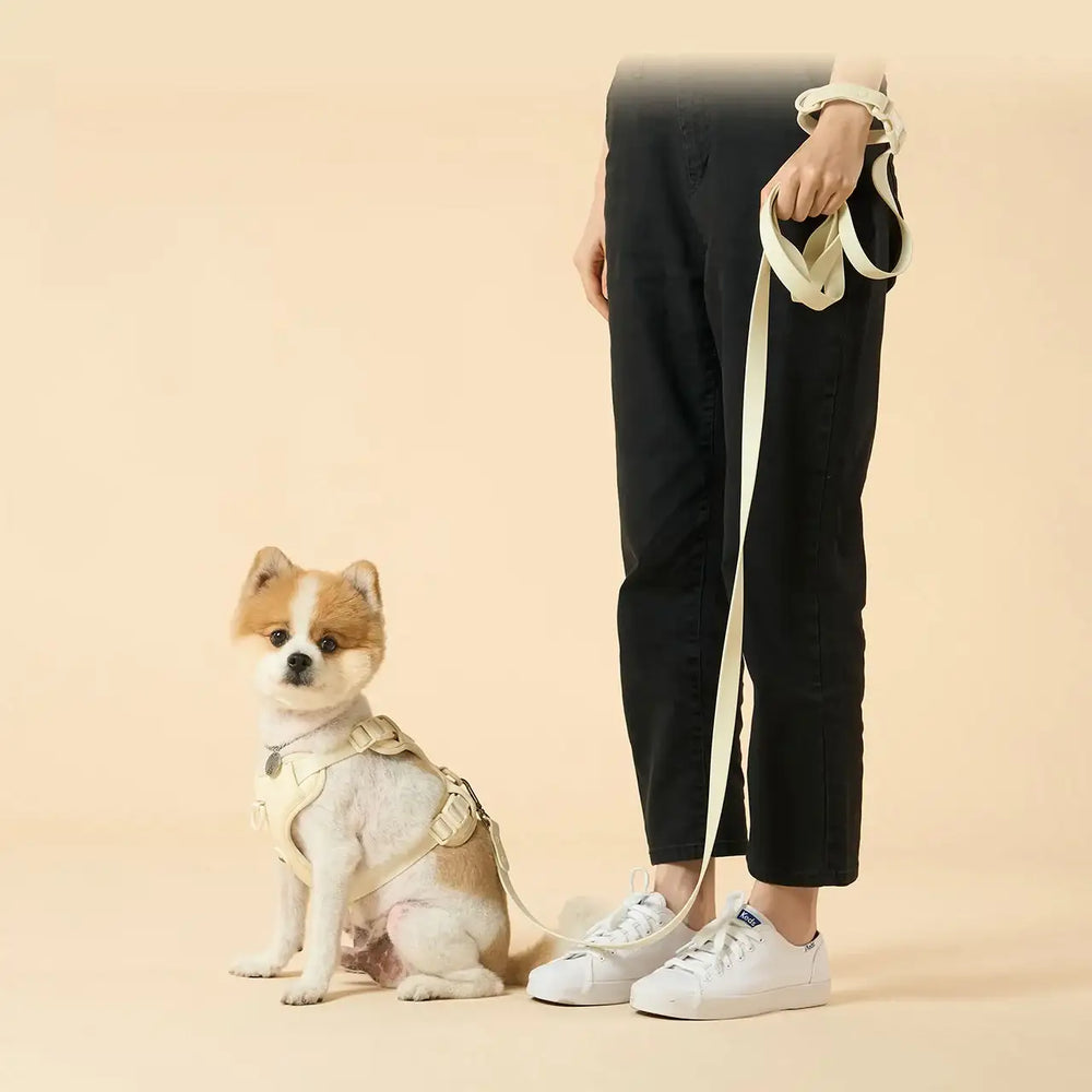 Duit - Pet Harness Leash - Duit - Home & Living, Accessories - Harumio