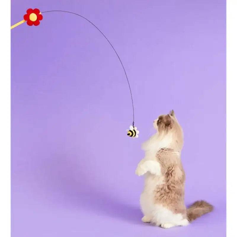 Wiggle Wiggle - Smile Bee Cat Swing Teaser - Wiggle Wiggle - Pet Toys - Harumio