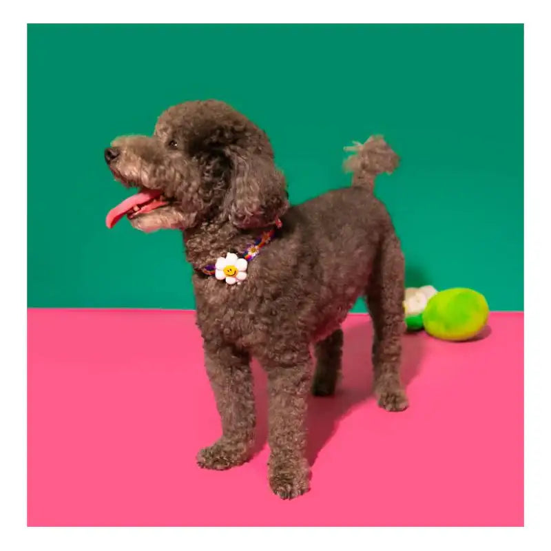 Wiggle Wiggle - Night Safety LED Pendant - Smile We Love - Wiggle Wiggle - Accessories - Harumio