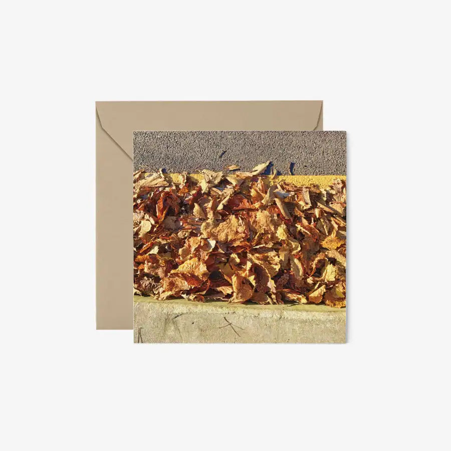 Lemon Moon - Fallen Leaves Postcard & Envelope Set - Marpple Shop - Postcard - Harumio