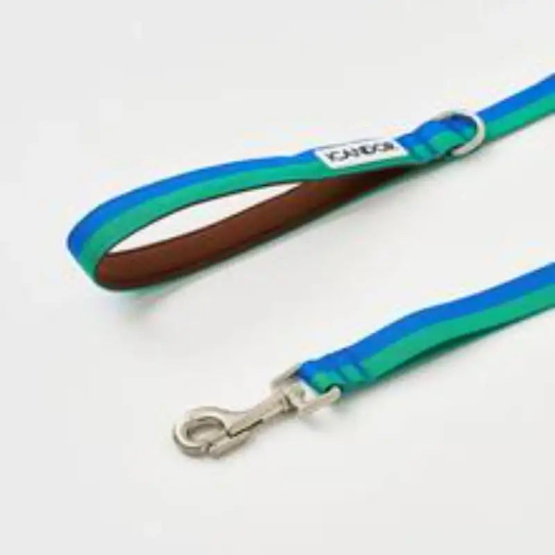 iCANDOR - Gentle Leash - iCANDOR - Pet Lead - Harumio