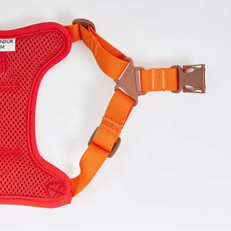 iCANDOR - Snuggle Harness - iCANDOR - Pet Harness - Harumio