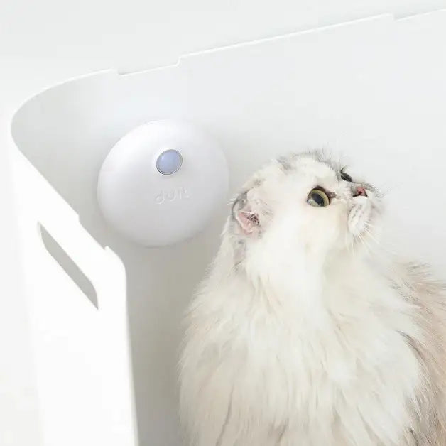 Duit - Pet Pureda - Duit - Pet Accessories - Harumio