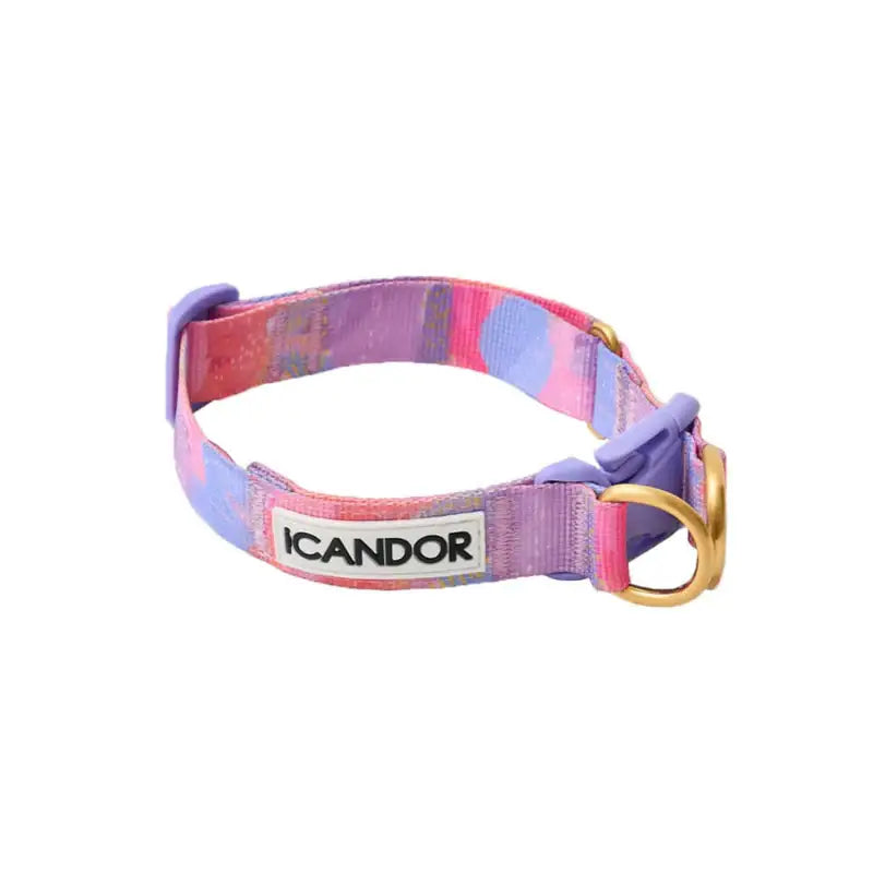 iCANDOR - Gentle Collar Dual - iCANDOR - Pet Collars - Harumio